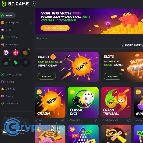 Experience Online Gaming with the BC.Game Mobile Application