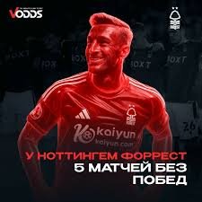 Ставки на крикет основні види та стратегія виграшу